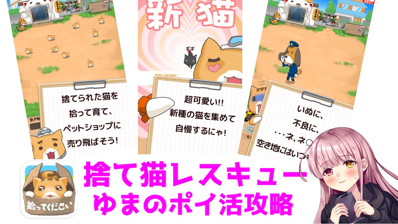 ポイ活攻略】捨て猫レスキュー空地のリセット（31週目）到達！【ゲームアプリ案件】 | ゆまのポイ活攻略